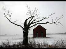 psicologo psicoterapeuta Catania: depressione